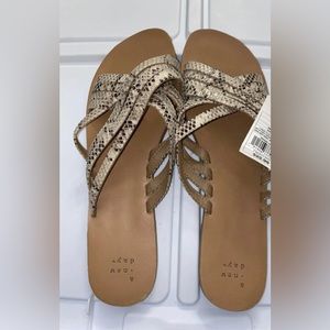 Women's Laila Crossband Strappy Slide Sandals - a New Day Snakeskin Shoes